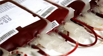 Relator no STF diz que impedir homossexual de doar sangue é discriminação